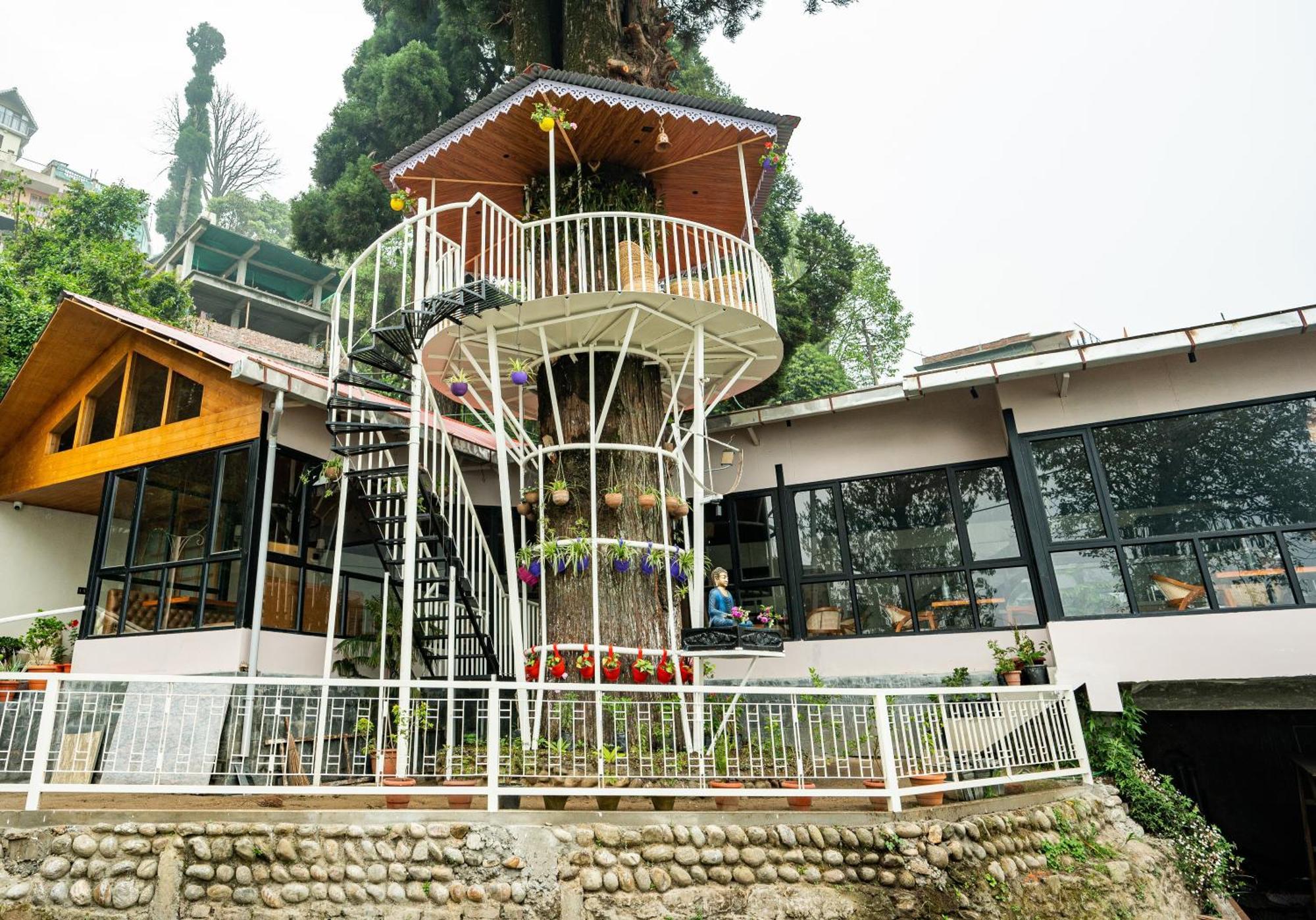 Arcadia Heritage Resort Darjeeling  Luaran gambar